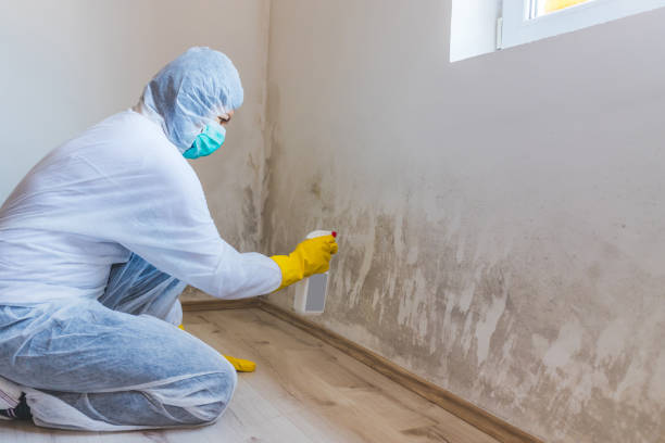 Mold Remediation specialist working in Broad Run